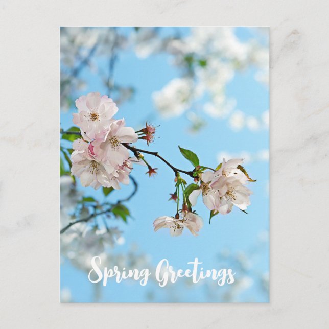 Postal Spring Is in the Air -  (Anverso)