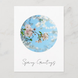 Postal Spring Is in the Air - 