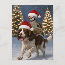 Postal Springer Spaniel and Partridge Christmas postcard