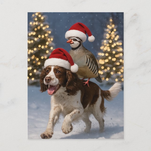 Postal Springer Spaniel and Partridge Christmas postcard (Anverso)