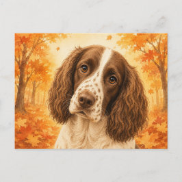 Postal Springer Spaniel Bosque Otoñal Perro