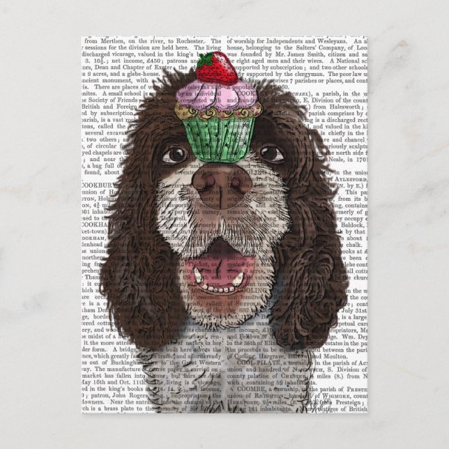 Postal Springer Spaniel con Cupcake (Anverso)