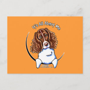 Postal Springer Spaniel IAAM