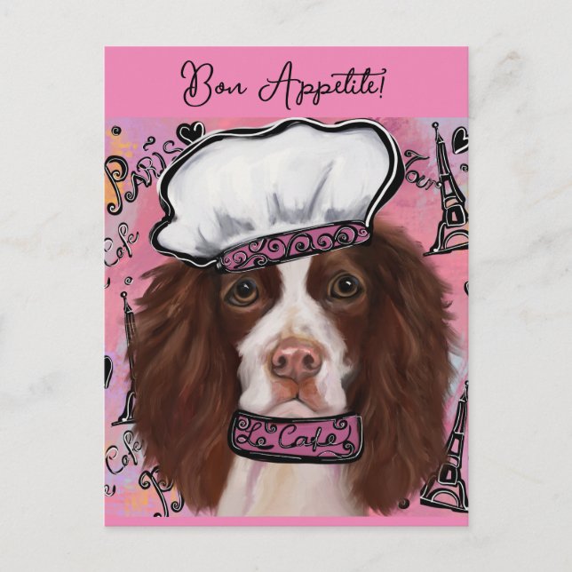 Postal Springer Spaniel Inglés (Anverso)