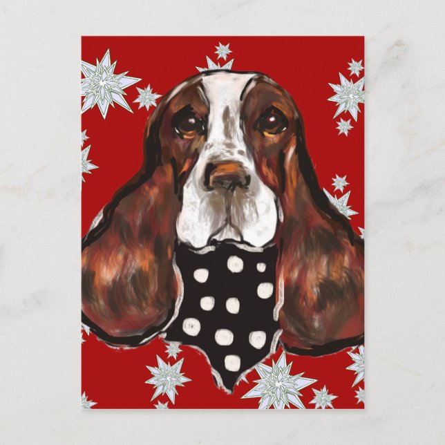 POSTAL SPRINGER SPANIEL INGLÉS (Anverso)