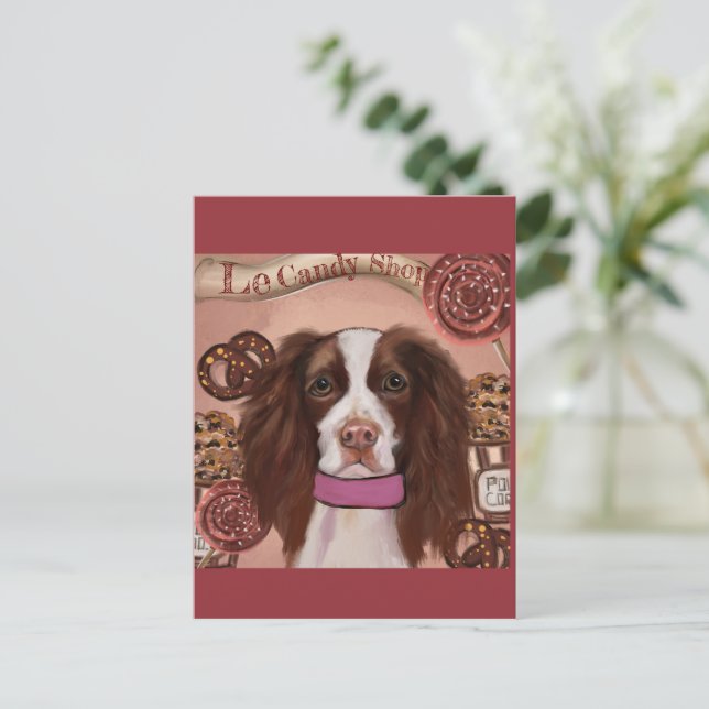 Postal Springer Spaniel inglés    (Anverso de pie)