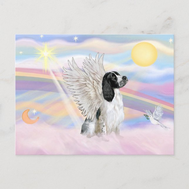 Postal Springer Spaniel Inglés (Anverso)