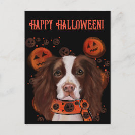 Postal Springer Spaniel Inglés     
