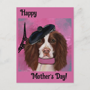 Postal Springer Spaniel Inglés