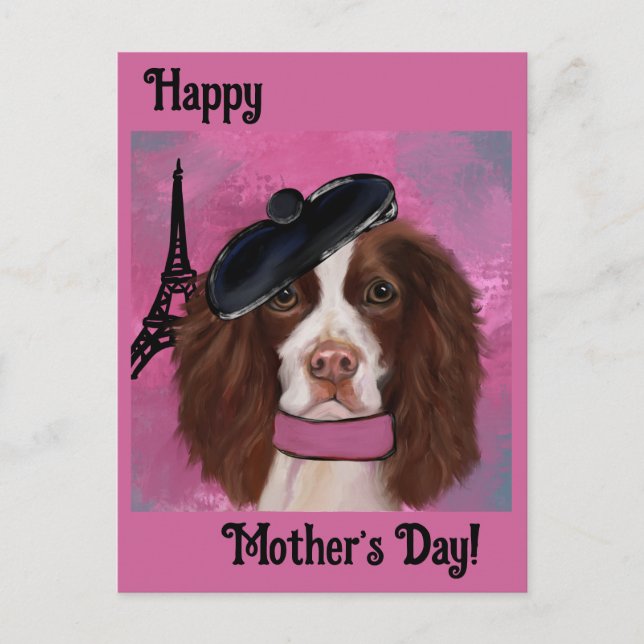 Postal Springer Spaniel Inglés       (Anverso)
