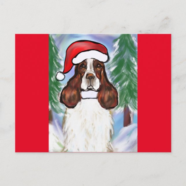 POSTAL SPRINGER SPANIEL INGLÉS (Anverso)