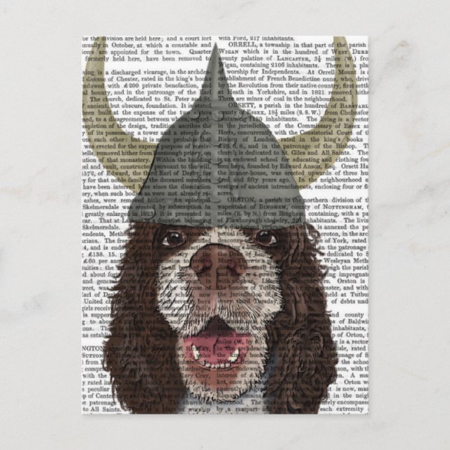 Postal Springer Spaniel Viking (Anverso)