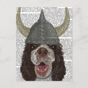 Postal Springer Spaniel Viking