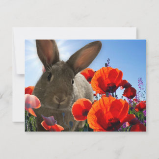 Postal Springtime Bunny