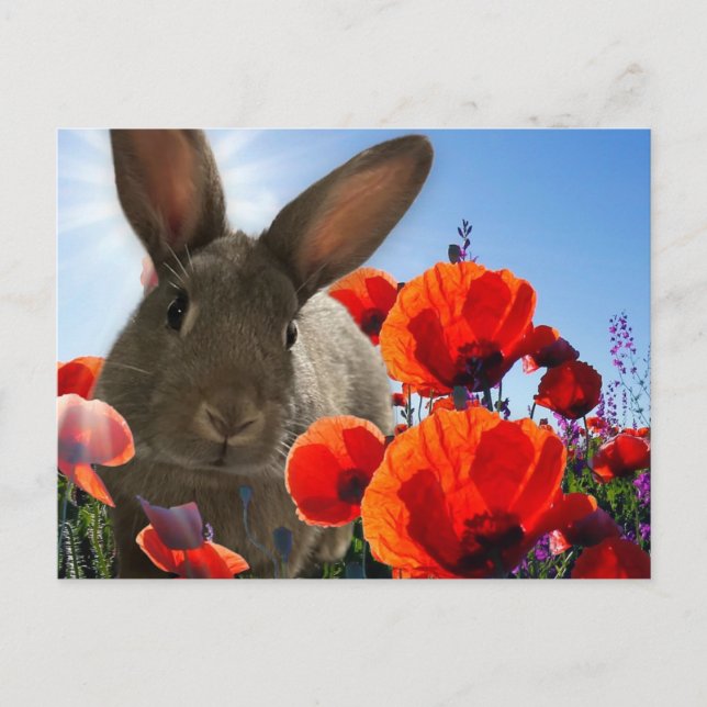 Postal Springtime Bunny (Anverso)