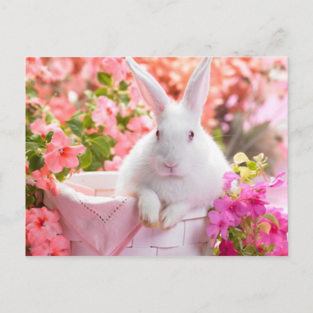 Postal Springtime Hare (Anverso)
