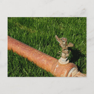Postal Sprinkler