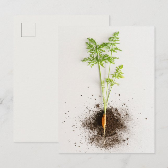 Postal Sprout Carrot Minimalist Botanical photo (Anverso / Reverso)