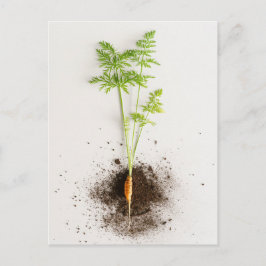 Postal Sprout Carrot Minimalist Botanical photo