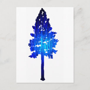 Postal Sprurito azul de Colorado