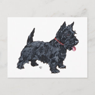 Postal Spunky Scottie Dog