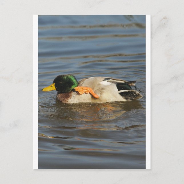 Postal Squeaky (Anverso)