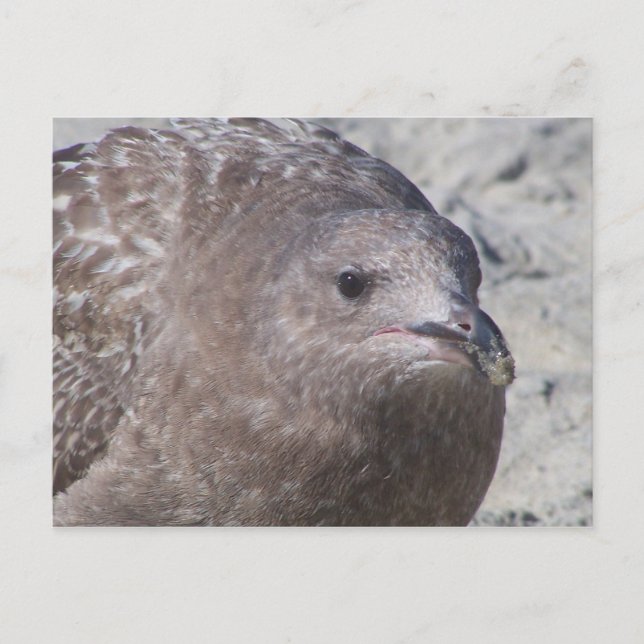 Postal Squeaky (Anverso)