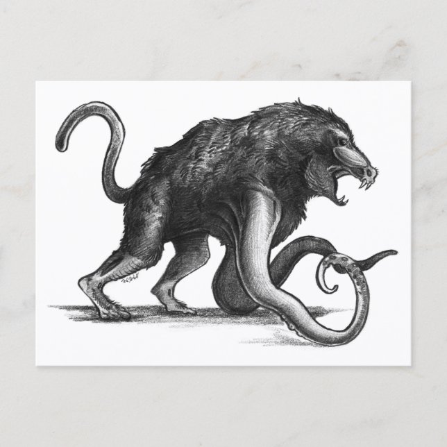 Postal Squiboon - Postcard (Anverso)