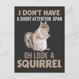 Postal Squirrel Atención Humor Jardín Pequeño Amante Anim