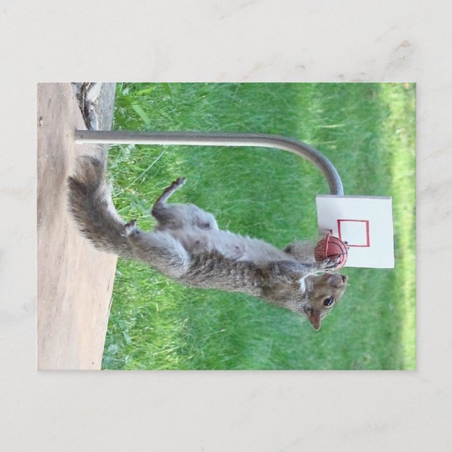Postal Squirrel Dunk (Anverso)