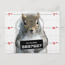 Postal Squirrel Mug Shot