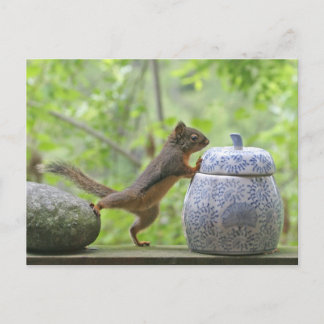Postal Squirrel y Cookie Jar