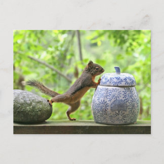 Postal Squirrel y Cookie Jar