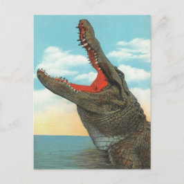 Postal Sr. Alligator