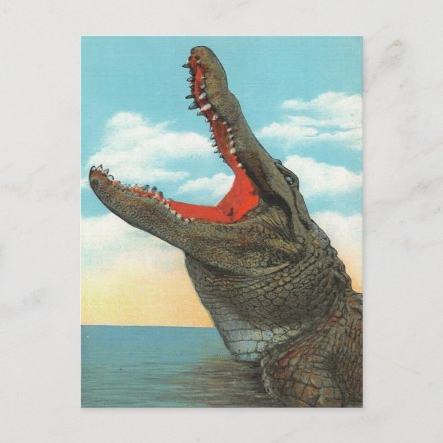 Postal Sr. Alligator (Anverso)