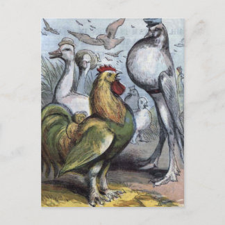 Postal "Sr. Bantam" Ilustracion Vintage