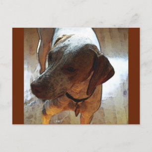 Postal Sr. Bo-Bo