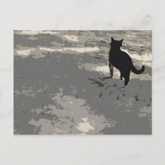 Postal Sr. Cat Postcard 010