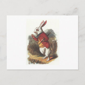 Postal ¡Sr. Conejo!