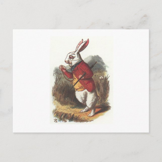 Postal ¡Sr. Conejo! (Anverso)