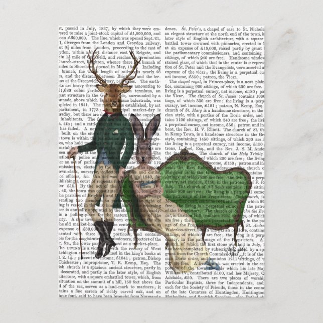 Postal Sr. Deer y Sra. Rabbit (Anverso)