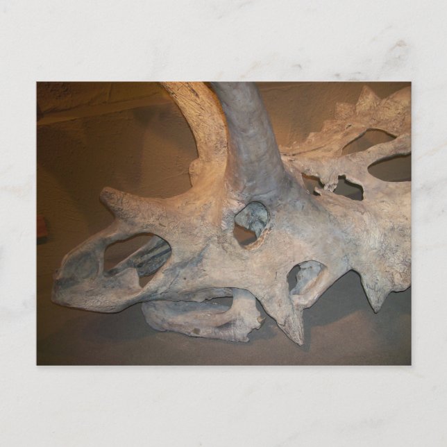 Postal Sr.dino #2 (Anverso)