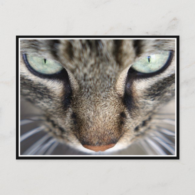 Postal Sr. Face (Anverso)
