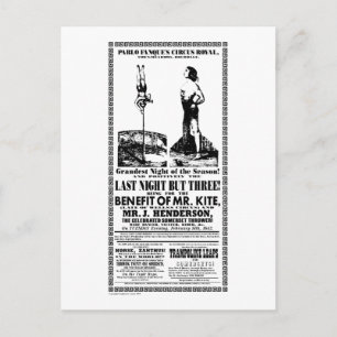 Postal Sr. Kite - Postcard