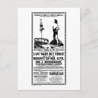 Postal Sr. Kite - Postcard