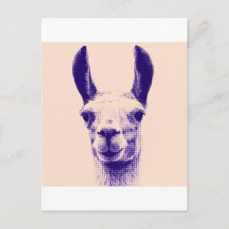 Postal Sr. Llama