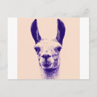 Postal Sr. Llama