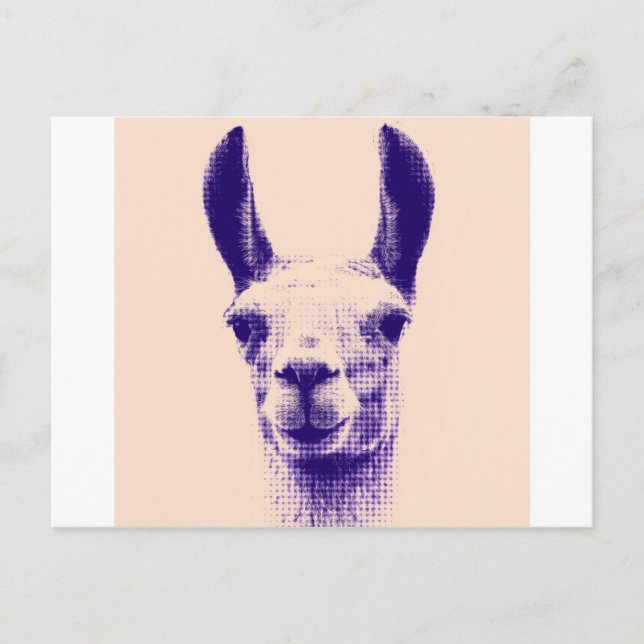 Postal Sr. Llama (Anverso)