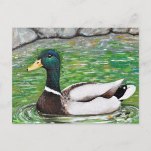 Postal Sr. Mallard Duck Painting