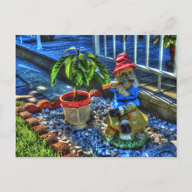 Postal Sr. Piper Gnome - (Anverso)